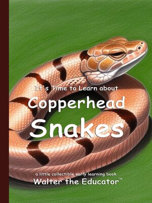 cover image of It's Time to Learn about Copperhead Snakes